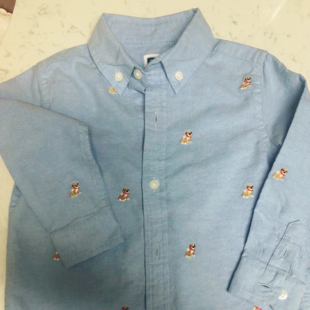 Janie and Jack Classic Blue Button down shirt.